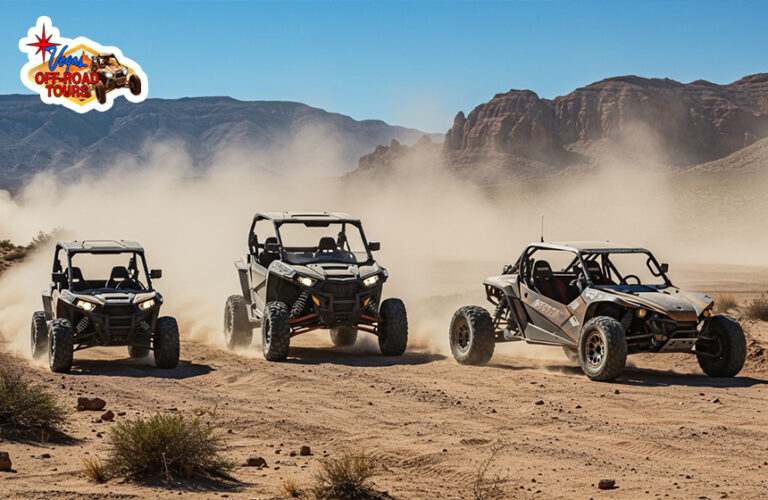 Difference Between ATV, UTV and Dune Buggy?