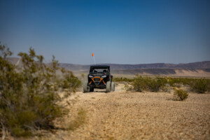 Seven Magic Mountains