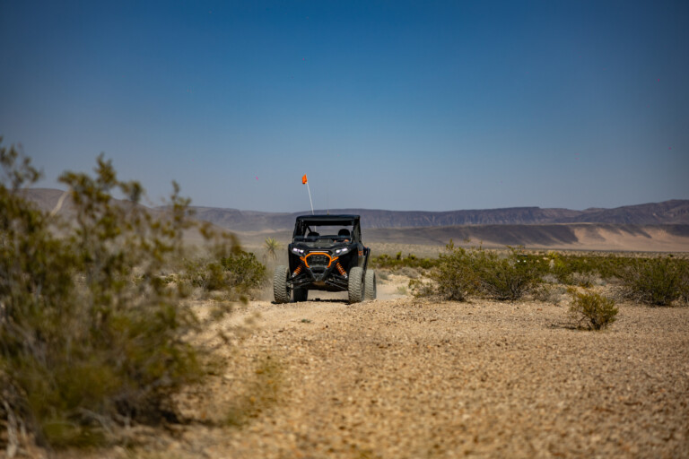 Seven Magic Mountains