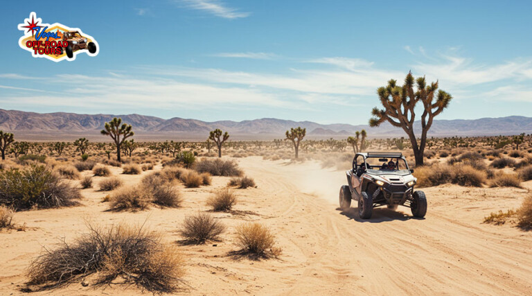 Mojave Desert off-road tours Las Vegas, Historical off-road adventures Nevada, Guided desert plant & wildlife tours Vegas, Best off-road desert tours near Las Vegas, Mojave Desert history & nature exploration tour, Mojave Desert Off Road Tour