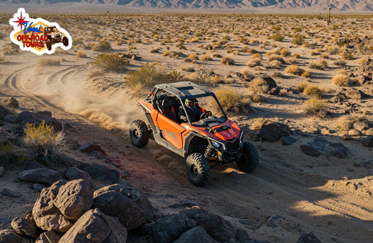 Responsible Off-Roading in the Mojave Desert: How Off-Roaders Can Help Protect Wildlife and Ecosystems