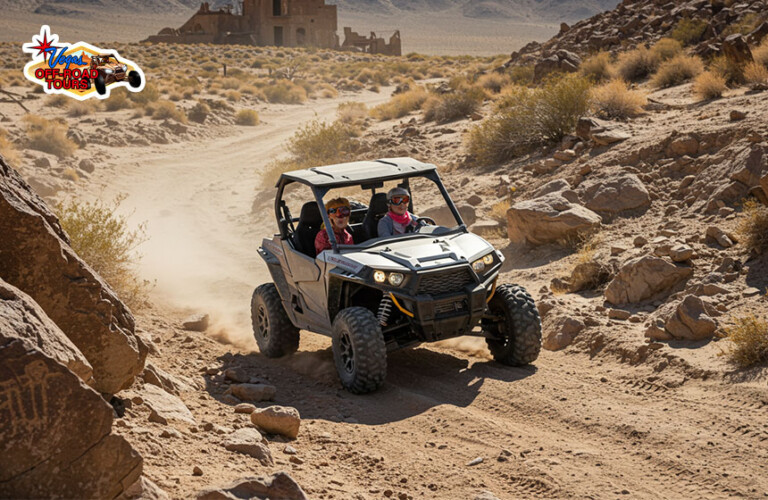 Mojave Desert Tortoise
