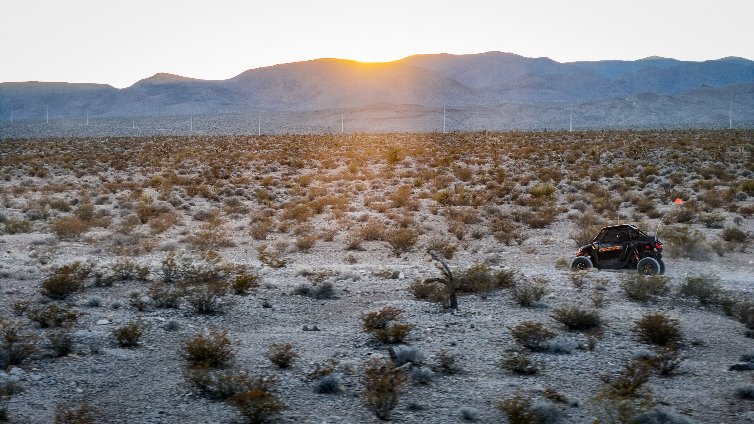 Mojave Desert plants guide, Las Vegas off-road adventure, Desert flora spotting tours, Mojave Desert nature tour, Off-road Las Vegas activities, Mojave Desert Plants