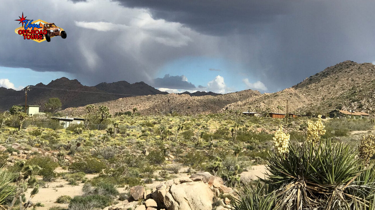 Mojave Desert Rain