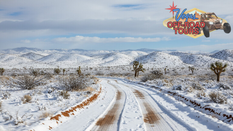 Snow in the Mojave near Jean, Nevada