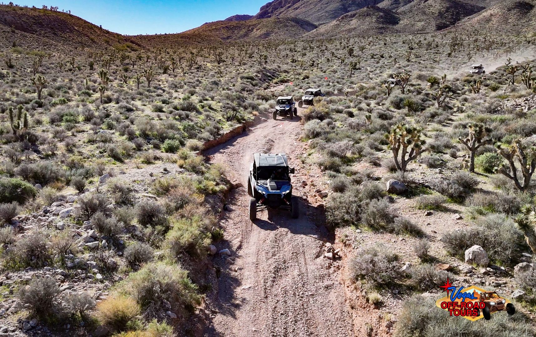 RZR off-road tours Mojave Desert