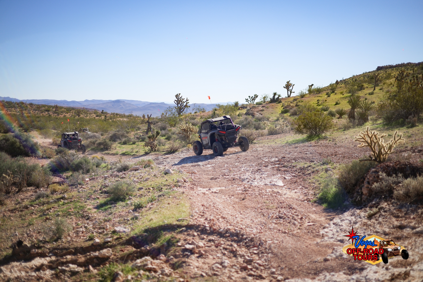 Mojave Desert private tours