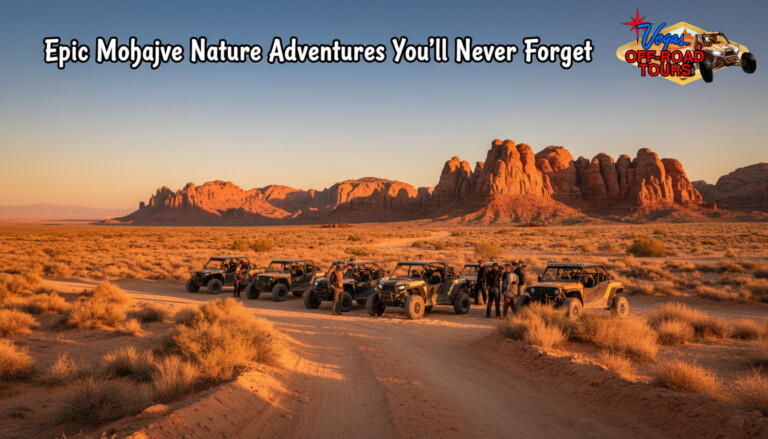 Mojave nature adventures