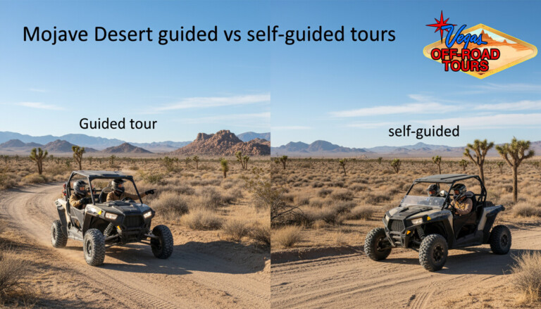 Mojave Desert guided vs self-guided tours