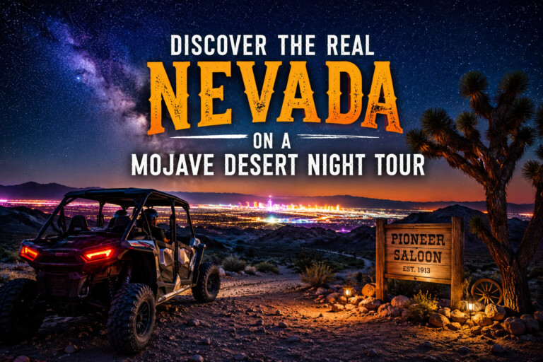 mojave desert night tour in vegas