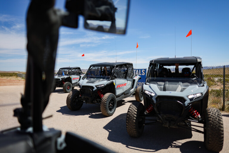 Mojave Desert in Nevada: Discover the Wild Side Beyond Las Vegas 1 Mojave Desert in Nevada: Discover the Wild Side Beyond Las Vegas