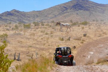 Las-Vegas-Early-Bird-Early-Week-Deal-1-hr.-Guided-Tour-image-1