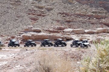 Las-Vegas-Early-Bird-Early-Week-Deal-1-hr.-Guided-Tour-image-3