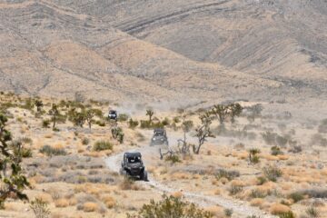 Las-Vegas-Early-Bird-Early-Week-Deal-1-hr.-Guided-Tour-image-4
