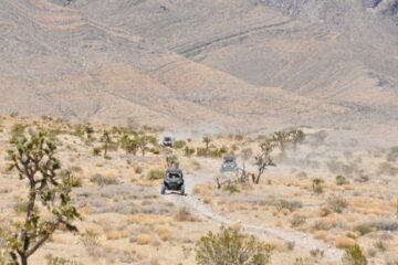 Las-Vegas-Mojave-Desert-Adventure-2-Afternoon-Guided-Tour-image-1
