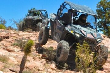 Las-Vegas-Mojave-Desert-Adventure-2-Afternoon-Guided-Tour-image-2