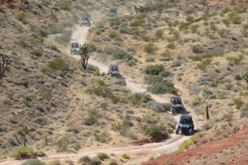 Las-Vegas-Mojave-Desert-Adventure-2-Afternoon-Guided-Tour-image-8