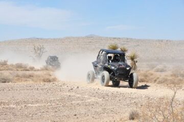 Las-Vegas-Mojave-Desert-Adventure-Guided-Tour-image-3