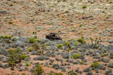 PASSENGER-SIDE-BLURRY-ORANGE-GREEN-LANDSCAPE-NEW-2024-5.23.2024-MARCH-SHOOT