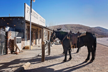 PIONEER-SALOON-WITH-HORSE-IN-COLOR