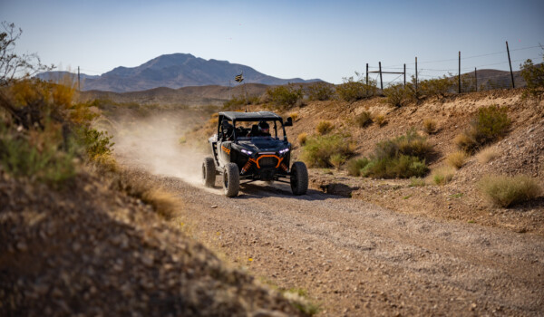 desert animal tracks Las Vegas trails, wildlife signs desert hiking Nevada, animal footprints desert off road tours, how to identify desert wildlife tracks, Vegas off road desert animal guide, Desert wildlife signs