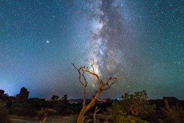 pexels-ken-cheung-3355734-7135951