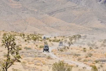 🤠-Pioneer-Saloon-Desert-Adventure-Guided-Tour-🤠-image-3
