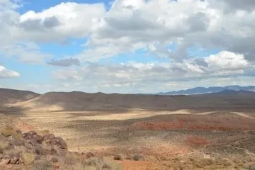 🤠-Pioneer-Saloon-Desert-Adventure-Guided-Tour-🤠-image-8