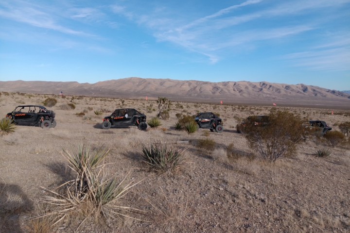 a group of people in a field with a mountain in the desert